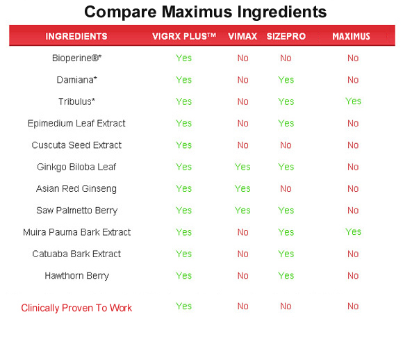 maximus  ingredients