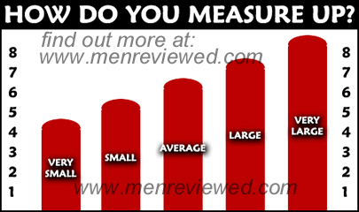 menreviewed.com penis size chart
